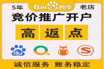 案例解析：百度推广排名提升的实战技巧